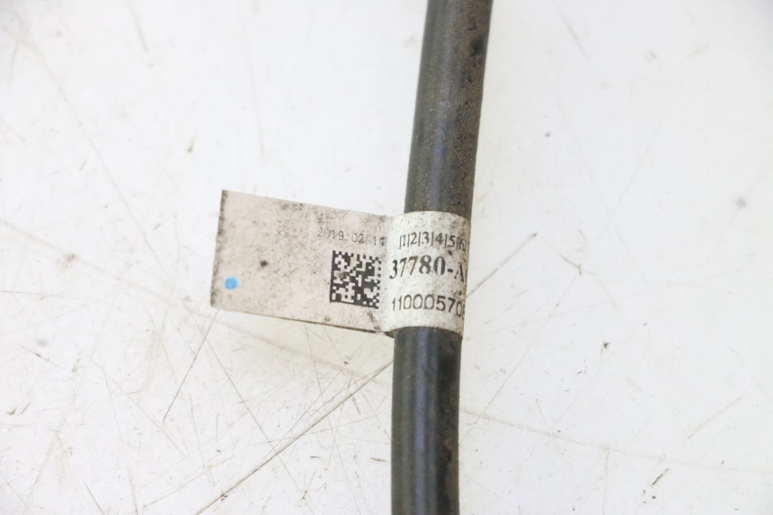 photo de SONDE TEMPERATURE EXTERIEURE KYMCO LIKE 4T 50 (2019 - 2025) - Zoom état d’usage