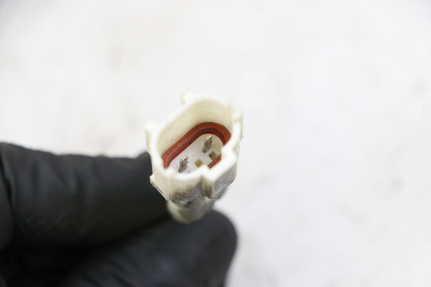 photo de SONDE TNT MOTOR BOSTON 4T 50 (2018 - 2025) - Autre angle de vue