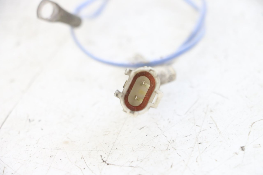 photo de SONDE TNT MOTOR ROMA 10' 4T 50 (2019 - 2022) - Zoom état d’usage