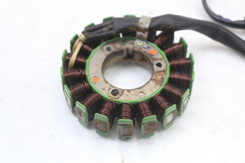 photo de STATOR REGAL RAPTOR RAXTER 2 125 (2007 - 2015) - Zoom état d’usage