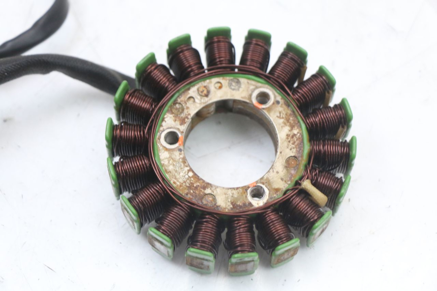 photo de STATOR REGAL RAPTOR RAXTER 2 125 (2007 - 2015) - Gros plan technique