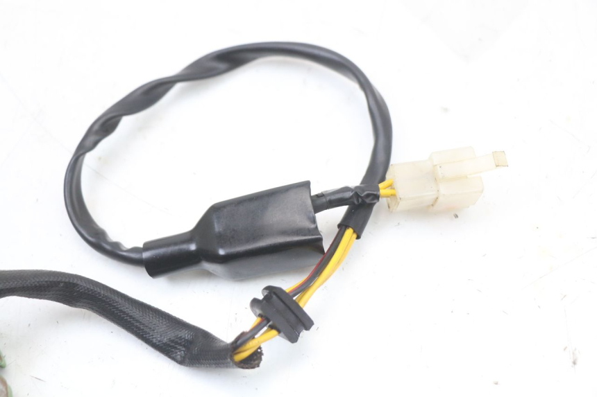 photo de STATOR REGAL RAPTOR RAXTER 2 125 (2007 - 2015) - Vue d’ensemble