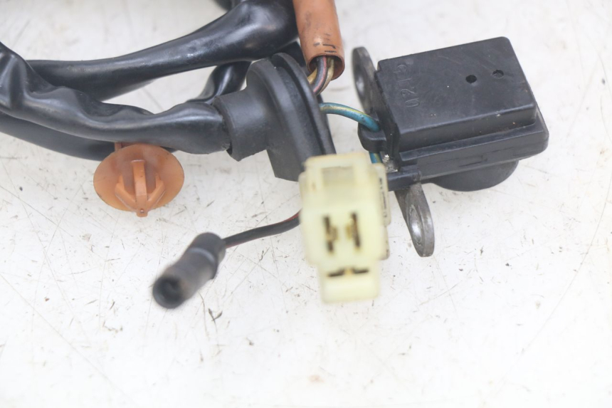 photo de STATOR PEUGEOT SPEEDFIGHT LC 50 (1996 - 2002) - Gros plan technique