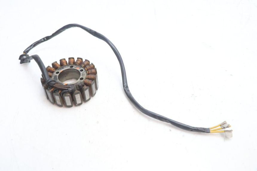 photo de STATOR DUCATI SS IE DS CARENEE 1000 (2002 - 2006) - Zoom état d’usage
