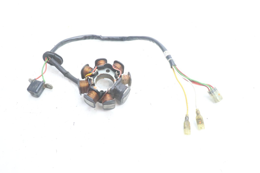 photo de STATOR HUSABERG TE 250 (2011 - 2014) - Gros plan technique
