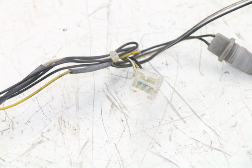 photo de SUPPORT AMPOULE PIAGGIO XEVO - X EVO 125 (2007 - 2017) - Détail de la pièce