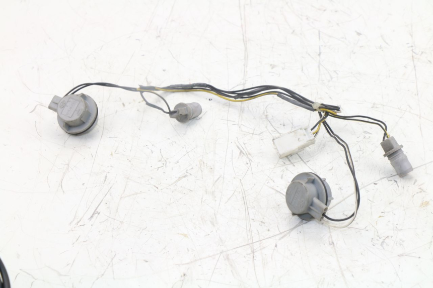 photo de SUPPORT AMPOULE PIAGGIO XEVO - X EVO 125 (2007 - 2017) - Gros plan technique