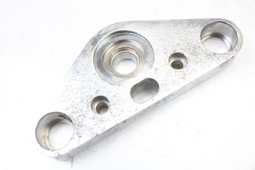 photo de TE FOURCHE SUPERIEUR REGAL RAPTOR SPYDER 125 (2010 - 2018) - Vue d’ensemble