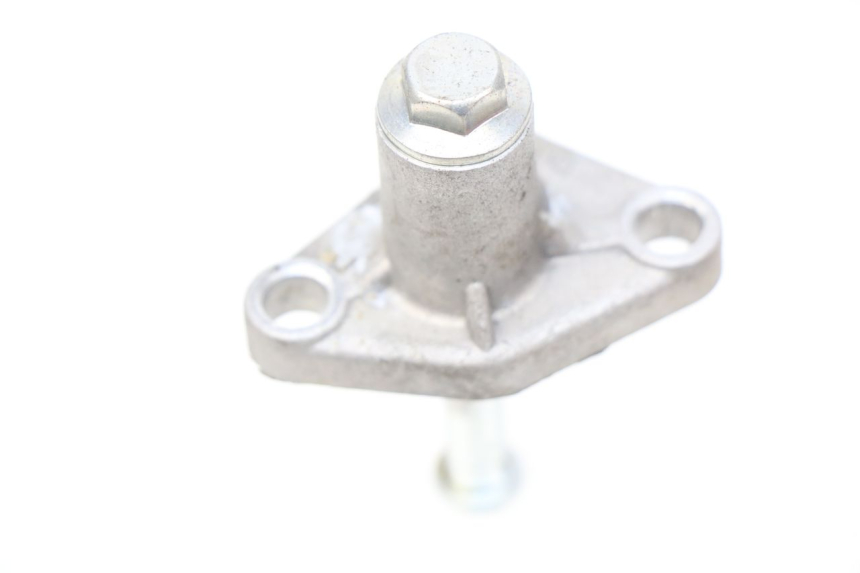 photo de TENDEUR CHAINE DISTRIBUTION TNT MOTOR ROMA 10' 4T 50 (2007 - 2018) - Détail de la pièce