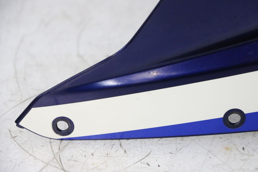 photo de TETE DE FOURCHE SUZUKI GSXR GSX-R 1000 (2003 - 2004) - Zoom qualité