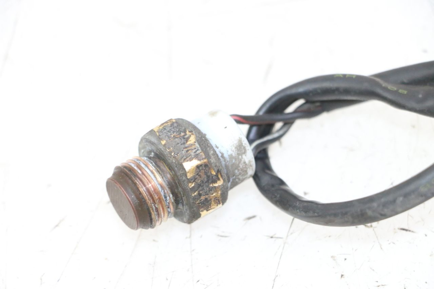 photo de THERMOCONTACT SUZUKI BURGMAN 125 (2007 - 2014) - Gros plan technique