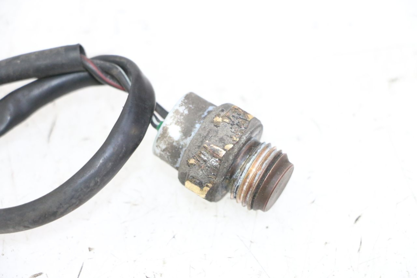 photo de THERMOCONTACT SUZUKI BURGMAN 125 (2007 - 2014) - Vue d’ensemble