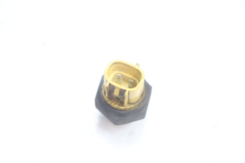 photo de THERMOCONTACT SUZUKI BURGMAN EXECUTIVE ABS 650 (2006 - 2012) - Zoom état d’usage
