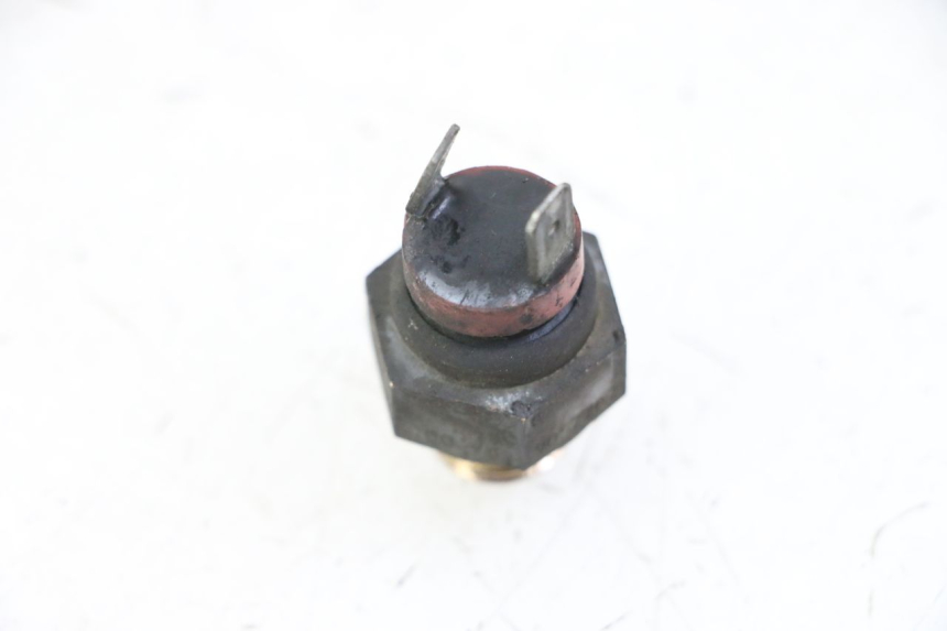 photo de THERMOCONTACT PIAGGIO X8 125 (2004 - 2007) - Zoom état d’usage