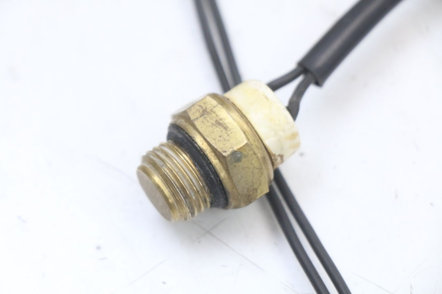 photo de THERMOCONTACT REGAL RAPTOR RAXTER 2 125 (2007 - 2015) - Autre angle de vue