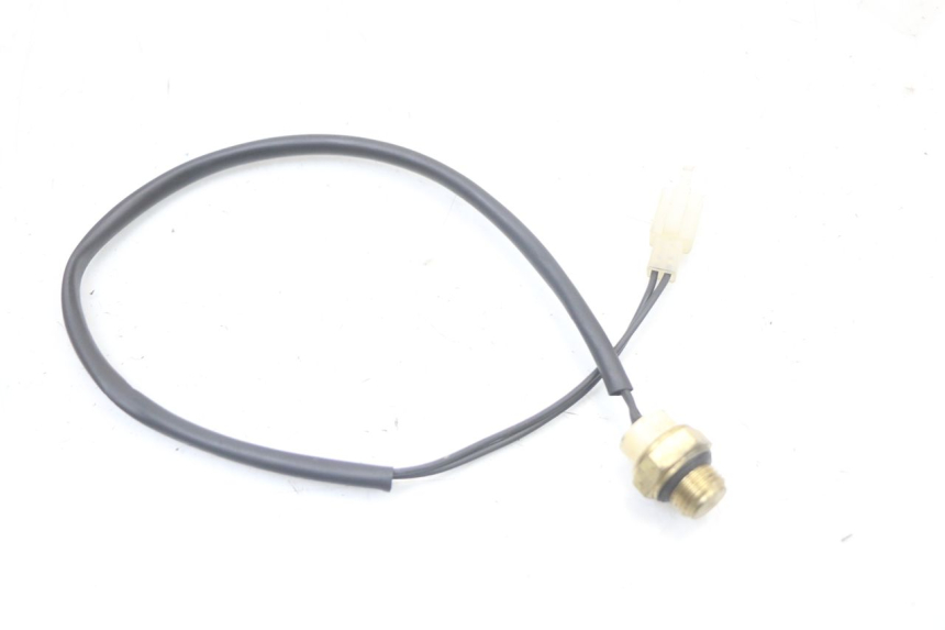 photo de THERMOCONTACT REGAL RAPTOR SPYDER 125 (2010 - 2018) - Zoom état d’usage