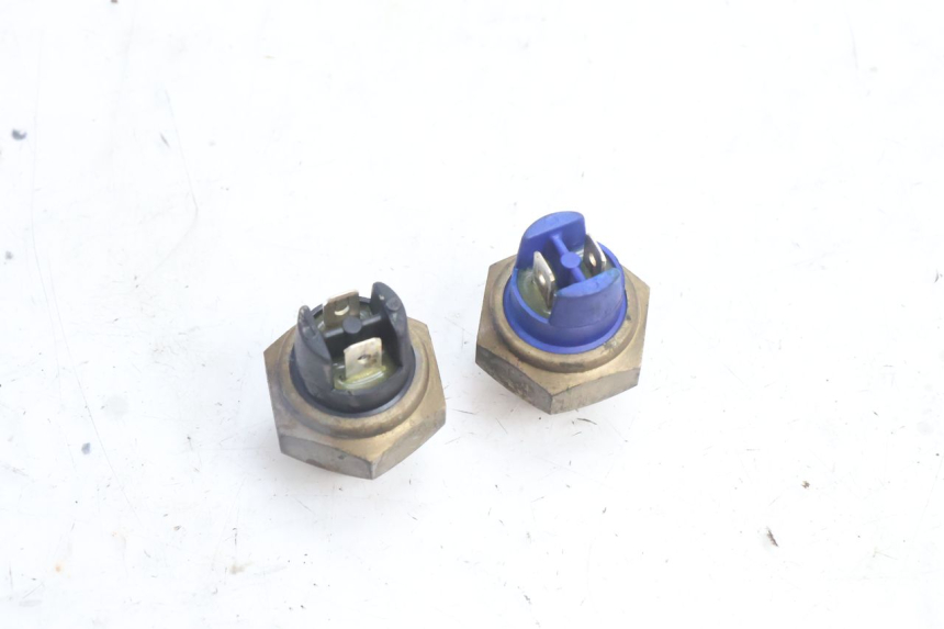 photo de THERMOCONTACT YAMAHA YP MAJESTY 125 (2007 - 2010) - Vue principale