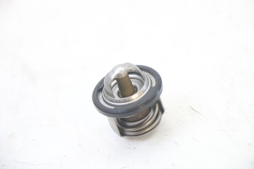 photo de THERMOSTAT APRILIA ATLANTIC 125 (2003 - 2009) - Zoom état d’usage