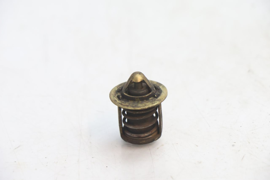photo de THERMOSTAT HM HONDA DERAPAGE 50 (2007 - 2009) - Vue principale