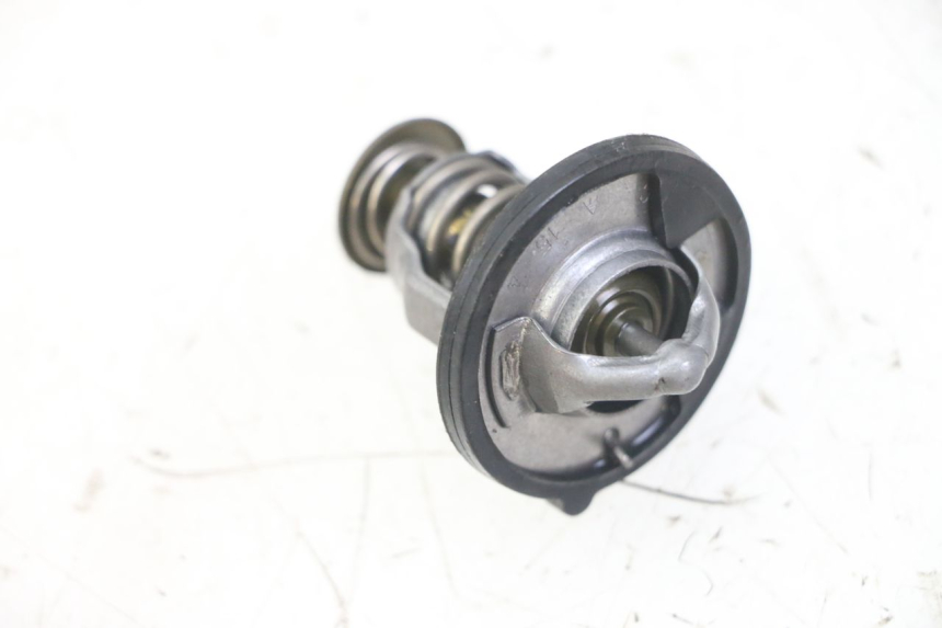 photo de THERMOSTAT HONDA FORZA ABS 300 (2013 - 2017) - Détail de la pièce
