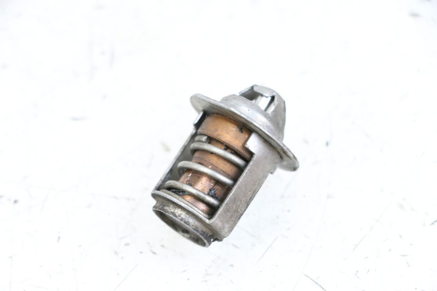 photo de THERMOSTAT NECO GPX LC 2T 50 (2014 - 2018) - Vue principale