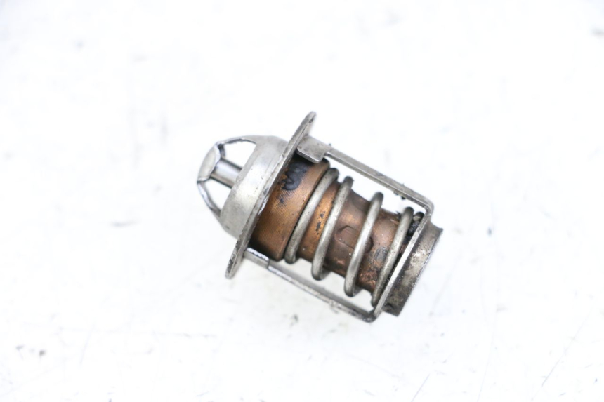 photo de THERMOSTAT NECO GPX LC 2T 50 (2014 - 2018) - Zoom état d’usage