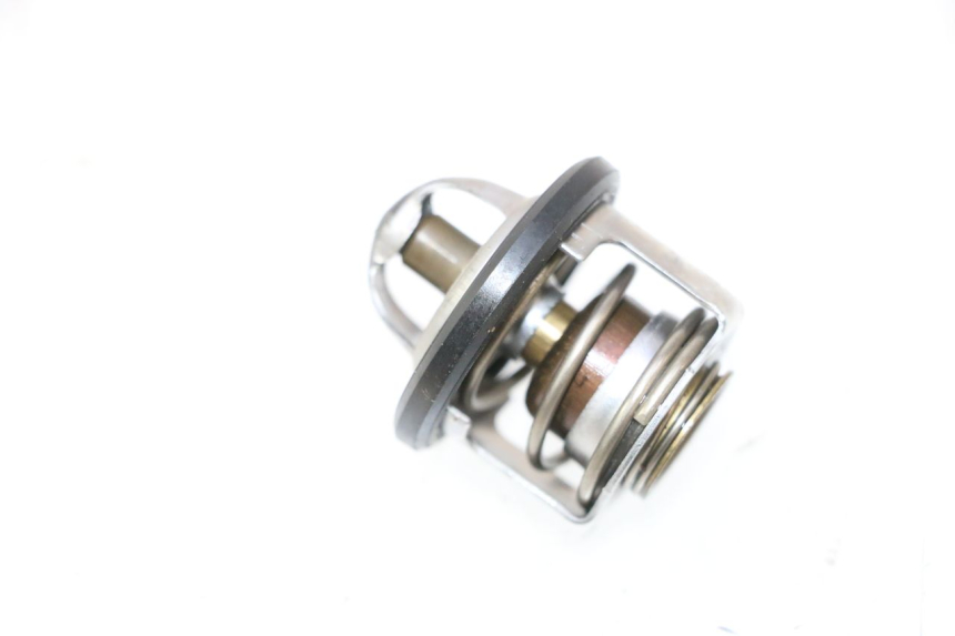photo de THERMOSTAT PIAGGIO MP3 LT 300 (2010 - 2016) - Vue principale