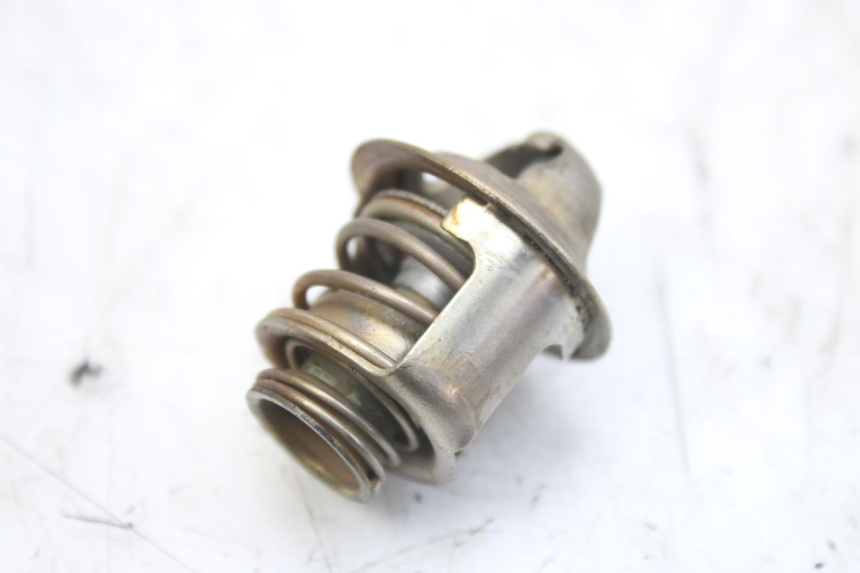 photo de THERMOSTAT PIAGGIO MP3 RL 250 (2006 - 2010) - Vue principale