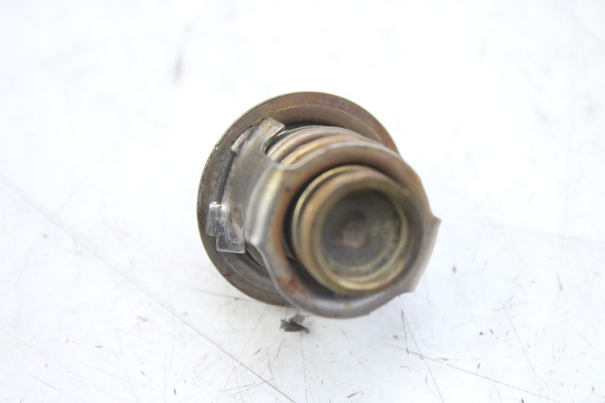 photo de THERMOSTAT PIAGGIO MP3 RL 250 (2006 - 2010) - Détail de la pièce