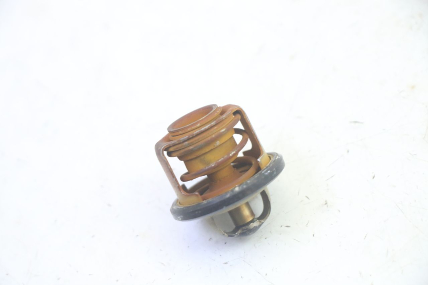photo de THERMOSTAT PIAGGIO MP3 RL 250 (2006 - 2010) - Détail de la pièce