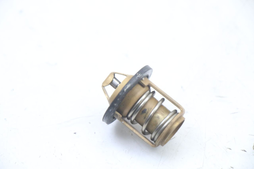 photo de THERMOSTAT PEUGEOT SPEEDFIGHT 3 LC 2T 50 (2009 - 2015) - Vue principale