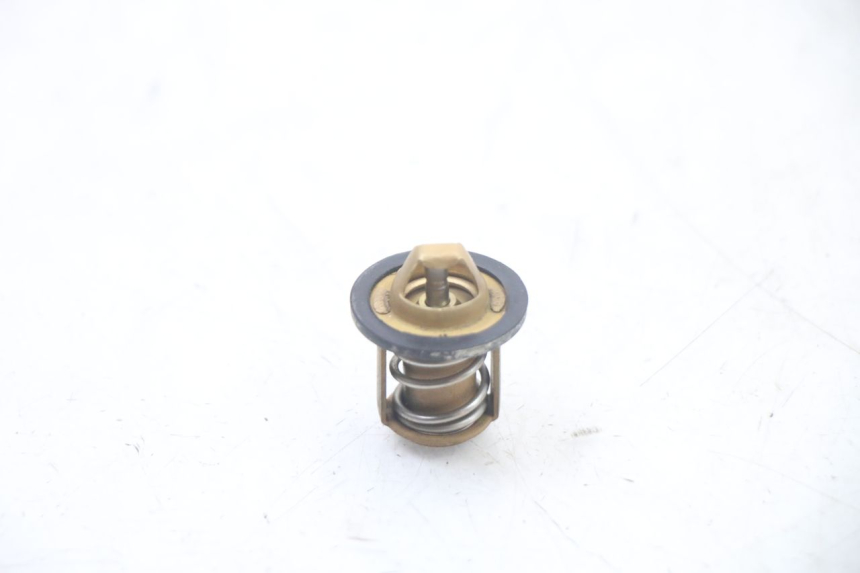 photo de THERMOSTAT PEUGEOT SPEEDFIGHT 3 LC 2T 50 (2009 - 2015) - Zoom état d’usage