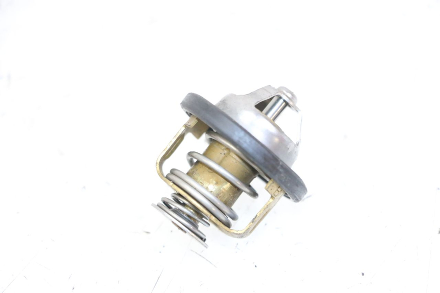 photo de THERMOSTAT PIAGGIO VESPA GRANTURISMO 200 (2004 - 2005) - Détail de la pièce