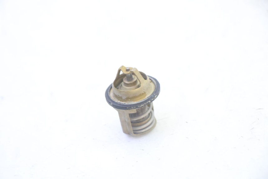 photo de THERMOSTAT PEUGEOT SATELIS 125 (2013 - 2018) - Vue principale