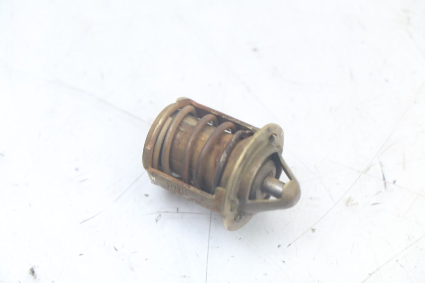 photo de THERMOSTAT DERBI SENDA SM X-TREME 50 (2006 - 2010) - Zoom état d’usage