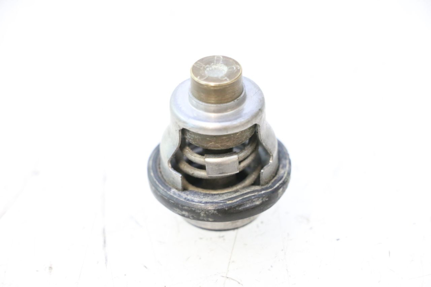 photo de THERMOSTAT SUZUKI SMX SUPERMOTARD 50 (1996 - 2001) - Zoom état d’usage
