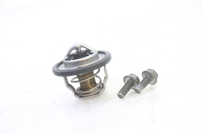 photo de THERMOSTAT SUZUKI SV S 650 (2003 - 2009) - Vue d’ensemble