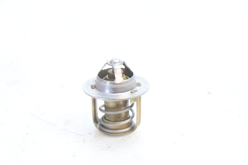 photo de THERMOSTAT HUSABERG TE 250 (2011 - 2014) - Vue principale