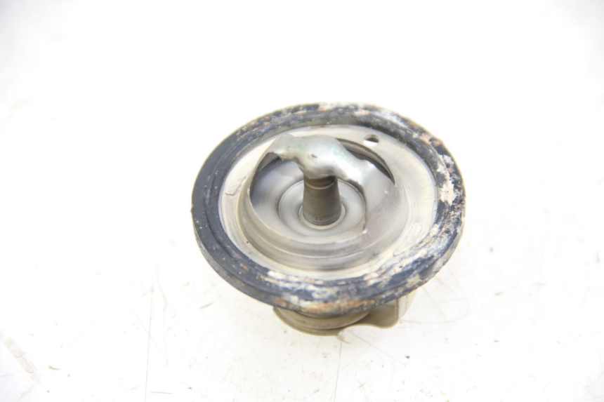 photo de THERMOSTAT YAMAHA XP T-MAX TMAX 500 (2004 - 2007) - Zoom état d’usage
