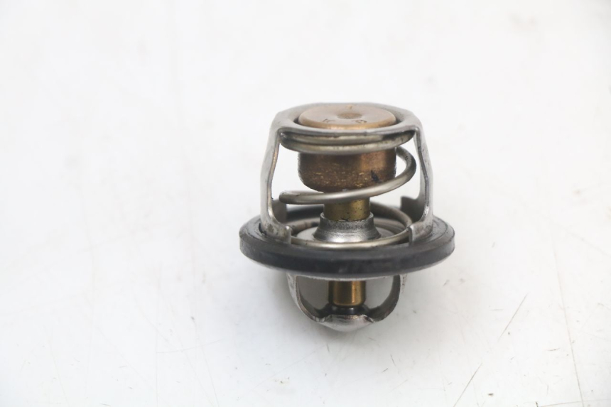 photo de THERMOSTAT YAMAHA YP MAJESTY 125 (2002 - 2006) - Zoom état d’usage