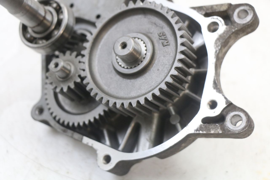 photo de TRANSMISSION ROUE  PEUGEOT DJANGO 125 (2014 - 2017) - Détail de la pièce