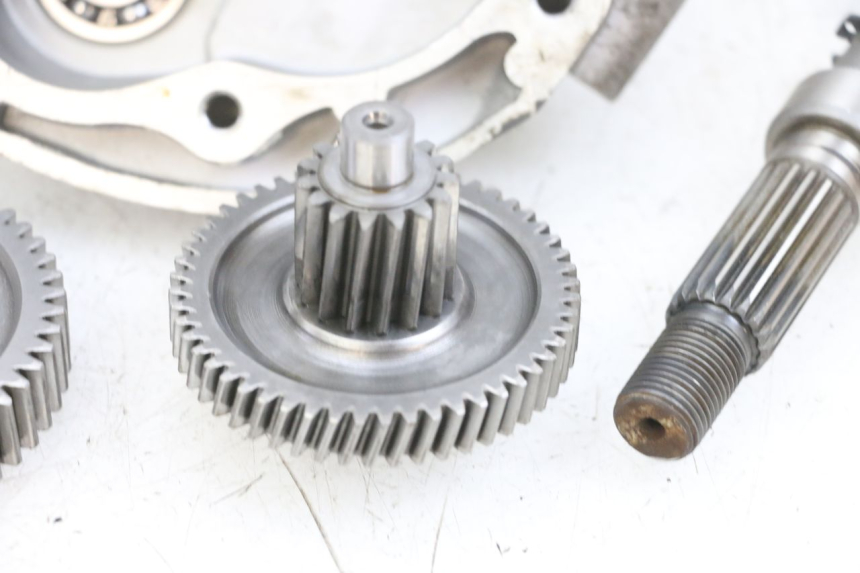 photo de TRANSMISSION ROUE PEUGEOT KISBEE 4T 50 (2010 - 2017) - Inspection visuelle