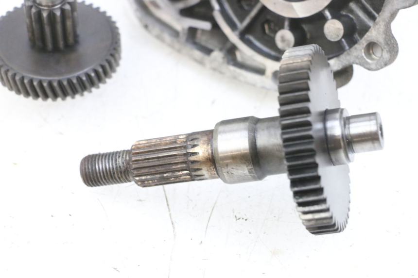 photo de TRANSMISSION ROUE PEUGEOT LUDIX 50 (2008 - 2017) - Vue produit