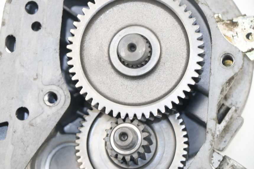 photo de TRANSMISSION ROUE  SAMPO LY50QT-21 50 (2009 - 2014) - Détail de la pièce