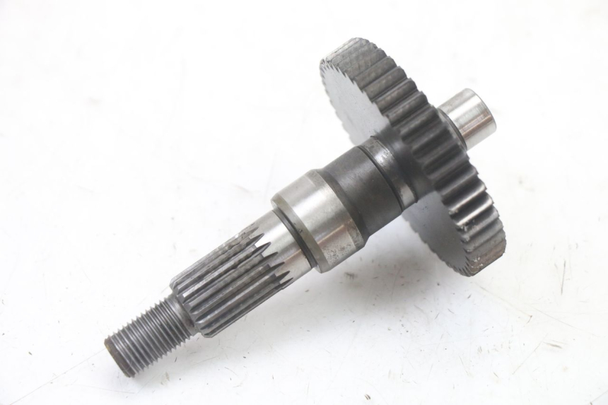 photo de TRANSMISSION ROUE  PEUGEOT LUDIX ONE 50 (2005 - 2008) - Vue d’ensemble