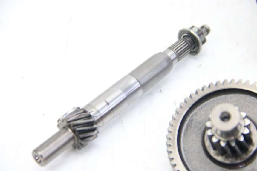 photo de TRANSMISSION ROUE APRILIA SCARABEO 4T 50 (2009 - 2017) - Vue d’ensemble