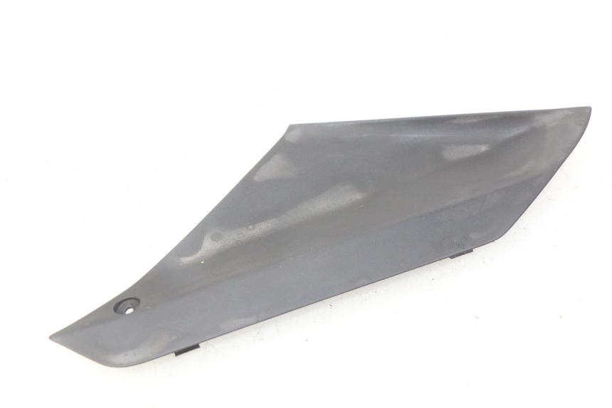 photo de TRAPPE DE VISITE GAUCHE PEUGEOT GEOPOLIS 400 (2007 - 2013) - Détail de la pièce