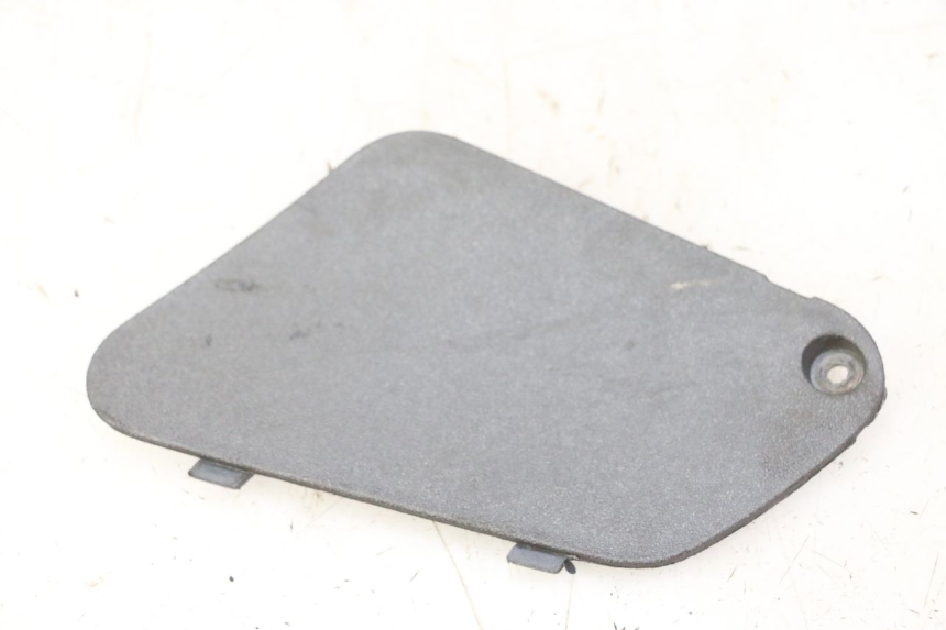 photo de TRAPPE DE VISITE GAUCHE PIAGGIO X9 EVOLUTION 125 (2003 - 2007) - Vue principale