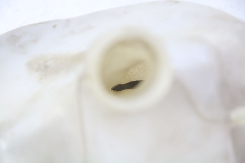 photo de VASE EXPANSION GILERA NEXUS 125 (2009 - 2013) - Détail de la pièce