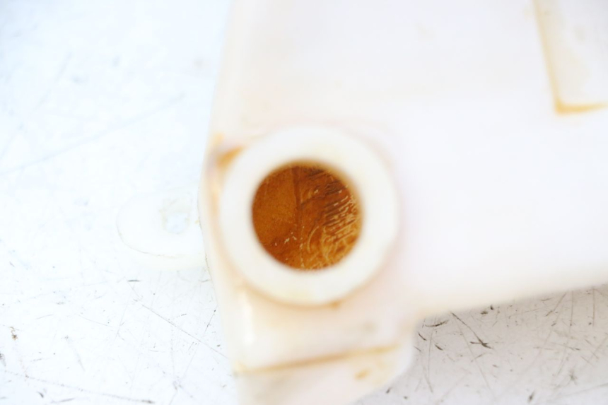 photo de VASE EXPANSION TRIUMPH SPRINT 900 (1995 - 1998) - Autre angle de vue